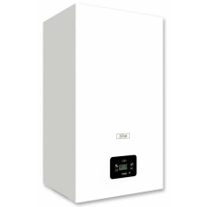 Настенный газовый котел Ferroli DIVA D C24