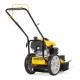 Бензиновая газонокосилка Champion LMH5629