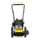 Бензиновая газонокосилка Champion LMH5629