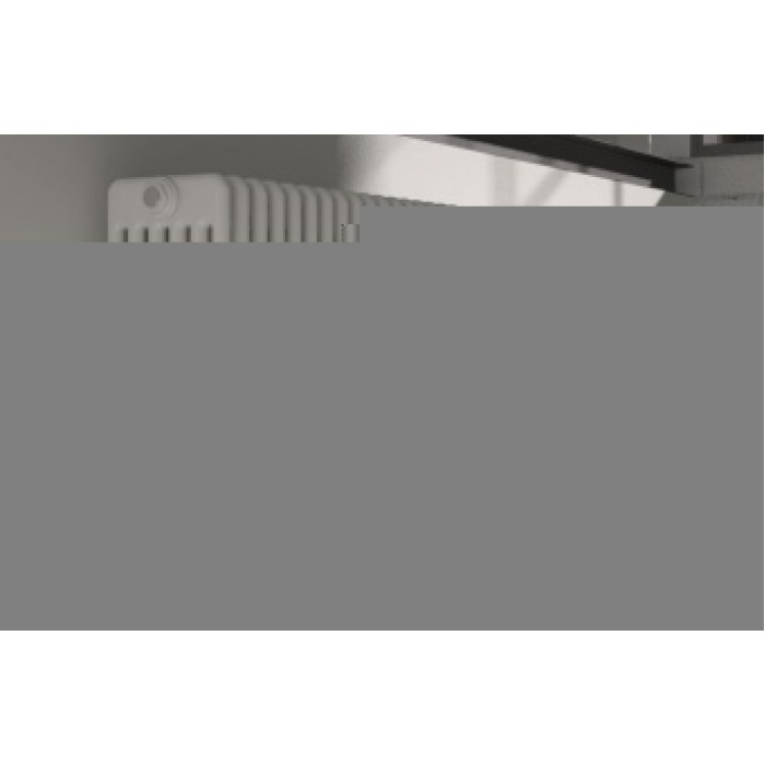 Радиатор отопления Arbonia 6018/40 N12 3/4 RAL 9016