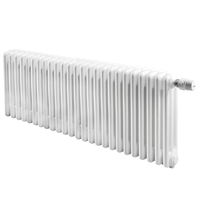 Радиатор отопления IRSAP TESI 30365/22 №25 (RR303652201A425N01)