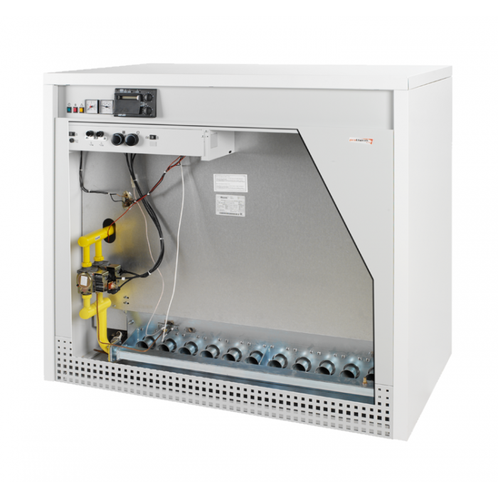 Напольный газовый котел отопления, одноконтурный Protherm Гризли 130 KLO